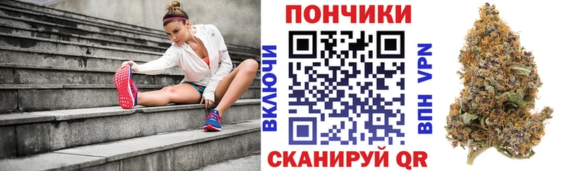 Каннабис VHQ  Купить закладки  Полярные Зори 